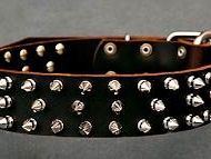 Best Leather Spiked Dog Collar for All breeds - S44 Best Leather Spiked Dog Collar for All breeds - S44