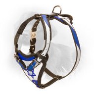 "Israeli Pride" Leather Newfoundland Harness "Israeli Pride" Leather Newfoundland Harness