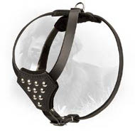 Studded Design Leather Newfondland Harness for Puppies Studded Design Leather Newfondland Harness for Puppies
