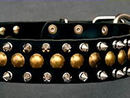 Spiked collars