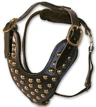 Studded Walking dog harness for Newfoundland -H15