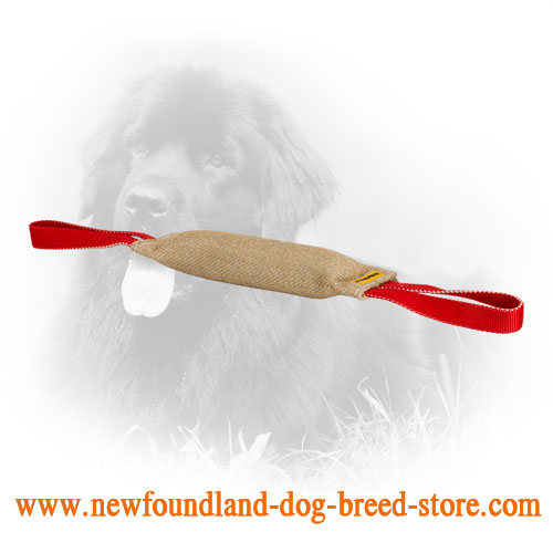 Long Jute Newfoundland Bite Tug for Proper Dog Training