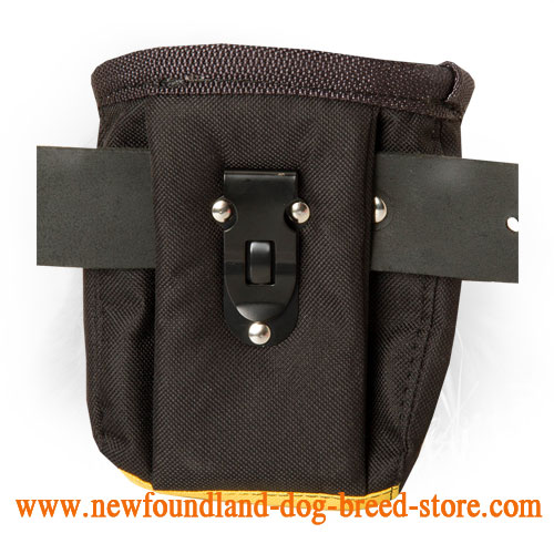 Nylon Dog Treat Bag with Belt Clip for Feeding Your Dog During Training