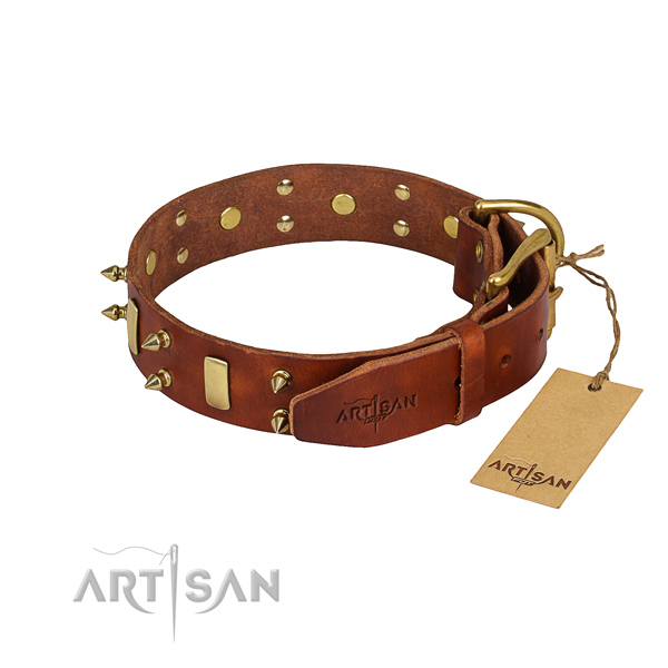 Full grain leather dog collar with thoroughly polished finish
