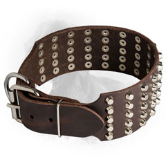 Leather Newfoundland Collar with Durable Buckle