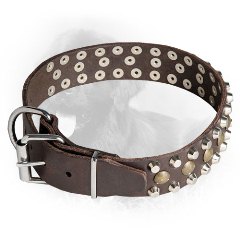 Decorated Newfoundland Collar with Durable Fittings