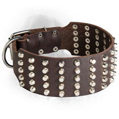 Leather Newfoundland Collar with Silver-Like Studs