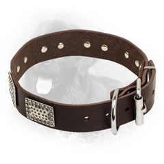 Newfoundland Collar with Nickel Plated Fittings