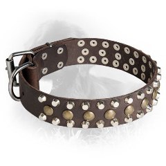 Newfoundland Collar with Brass Studs and Nickel Plated Pyramids