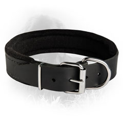 Padded Leather Collar