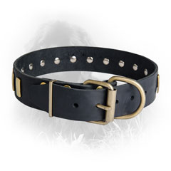 Newfoundland Dog Leather Collar Brass Hardware