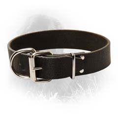 Newfoundland Dog Leather Collar