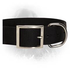 Incredibly Durable Newfoundland Collar From 2 Ply Nylon  And Nickel Plated Buckle and D-ring