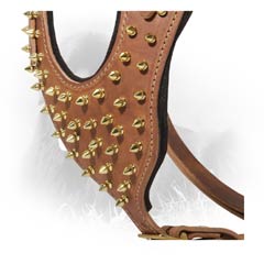 Golden-Like Spikes on Leather Newfoundland Harness