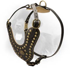 Reliable Leather Dog Harness for Attack/Agitation Training