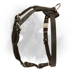Newfoundland Harness with Easily Adjustable Straps
