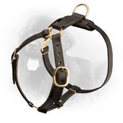 Leather Newfoundland Harness Universal in Use