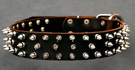 Best Leather Spiked Dog Collar for All breeds  for Newfoundland dog