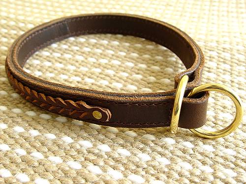 Gorgeous Wide 2 Ply Leather Choke Dog Collar - Fashion Exclusive for newfoundland