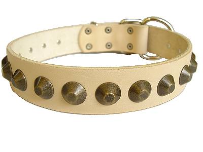 Gorgeous Wide Leather Dog Collar for Newfoundland