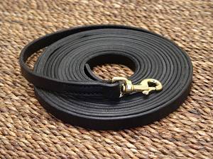 Leather dog leash for tracking for Newfoundland dog