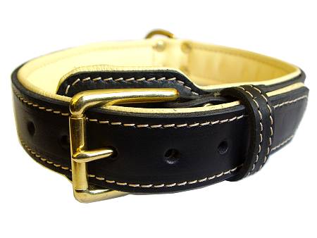 Royal Nappa Padded Hand Made Leather Dog Collar Newfoundland dog