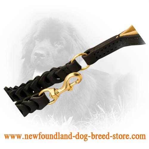 Brass Fittings on Leather Newfoundland Leash