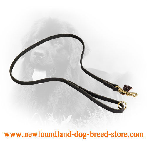 Leather Newfoundland Leash with Brass Floating O-Ring