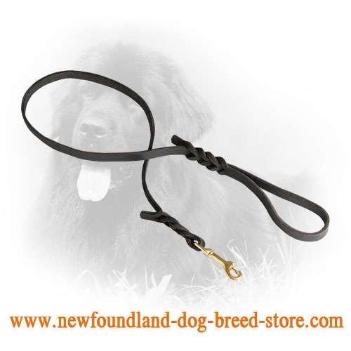 Leather Newfoundland Leash for Daily Use