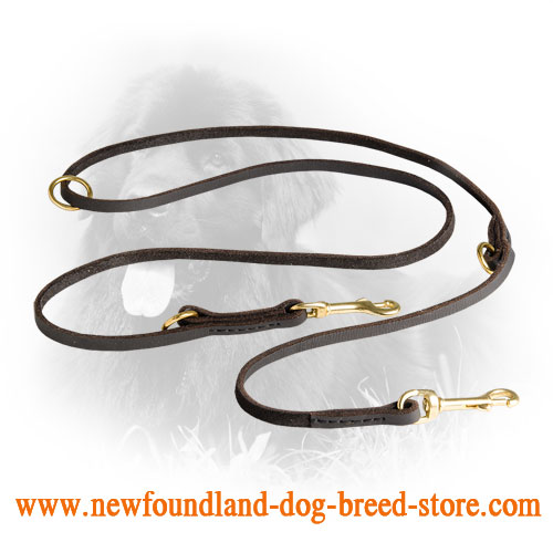  Newfoundland Leash with Brass Fittings