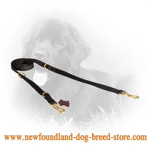 Newfoundland Leash for Different Dog Activities