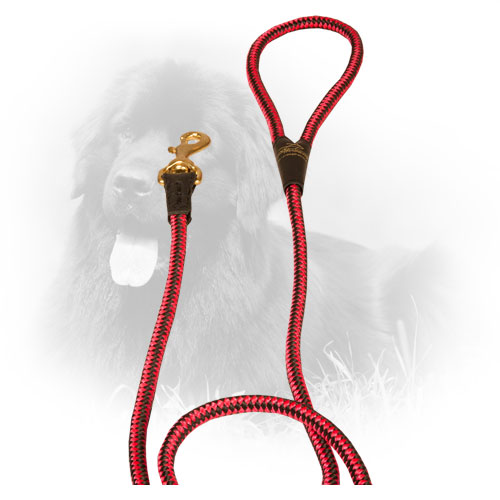 Nylon Newfoundland Leash with Strong Snap Hook