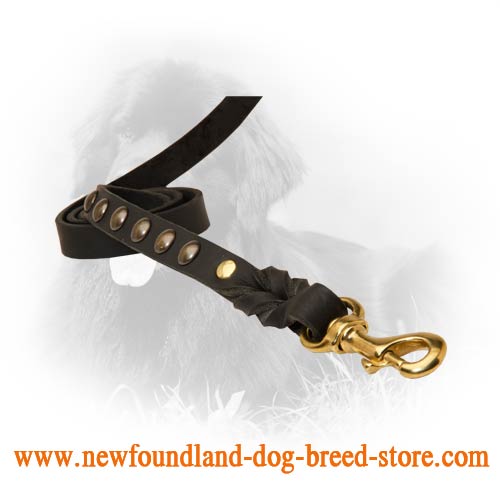 Strong Snap Hook on Leather Newfoundland Leash 