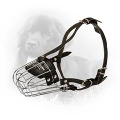 Solid Rust Free Wire Cage Dog Muzzle