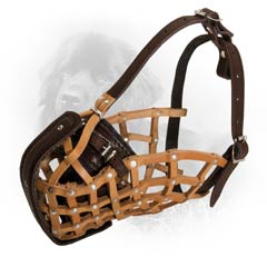 Comfy and Durable Leather Dog Muzzle