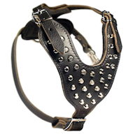 Amstaff Studded Leather Dog Harness with Pyramids Amstaff Studded Leather Dog Harness with Pyramids