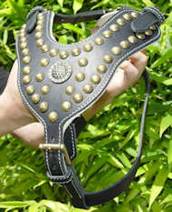 Royal Dog Harness - Exclusive Design Studded Leather Harness Royal Dog Harness - Exclusive Design Studded Leather Harness