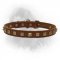 Newfoundland Handcrafted Leather 1 Row Square Studded Dog Collar