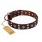 "Pirate Treasure" FDT Artisan Exciting Brown Leather Newfoundland Collar with Studs