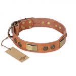 "Lost Desert" FDT Artisan Leather Newfoundland Collar with Brass Decorations