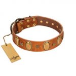 "Glossy Autumn" Designer Handmade FDT Artisan Tan Leather Newfoundland Collar with Ovals and Studs