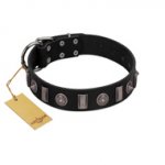 "Silver Spikes" Exclusive FDT Artisan Black Leather Newfoundland Collar