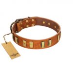 "Olive Slice" FDT Artisan Tan Leather Newfoundland Collar with Engraved and Smooth Plates