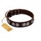 "High and Mighty" FDT Artisan Classy Brown Leather Newfoundland Collar with Embellished Brooches