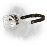 'The Silencer' Wire Cage Newfoundland Muzzle with One Strap