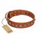 "Silver Spike" Handmade FDT Artisan Tan Leather Newfoundland Collar with Old Silver-Like Spikes