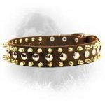 Newfoundland Spiked and Studded 40 mm Leather Collar