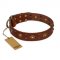 "Unfailing Charm" FDT Artisan Studded Tan Leather Newfoundland Collar