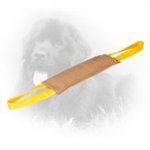 Large Leather Newfoundland Bite Tug with 2 Handles