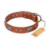 "Sparkling Skull" FDT Artisan Tan Leather Newfoundland Collar with Old Silver Look Plates and Skulls